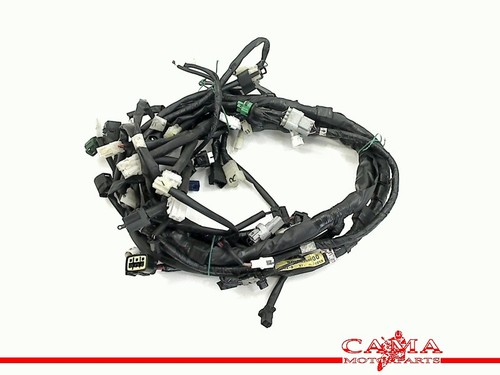Wiring harness miscellaneous - harness,